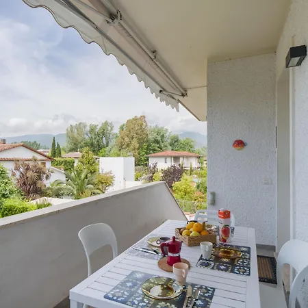 White By Interhome Apartment
